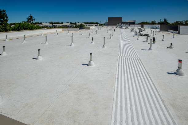 Best Roof Moss and Algae Removal  in Clay, CA